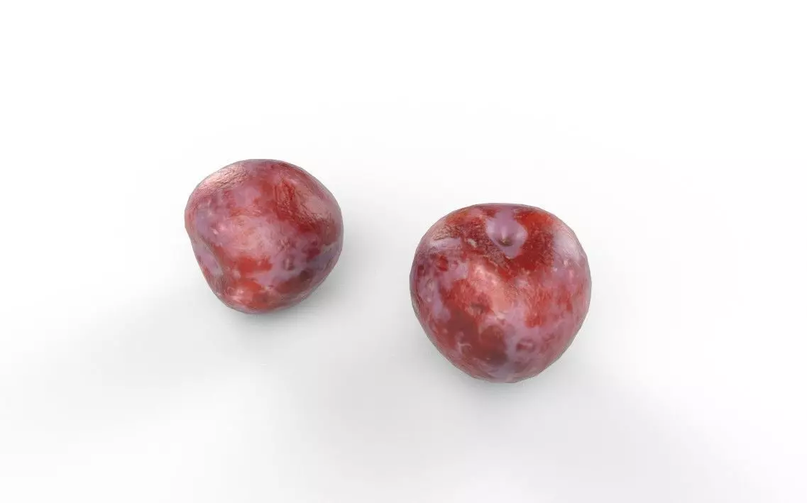 Plum M06 Low-poly 3D model_5