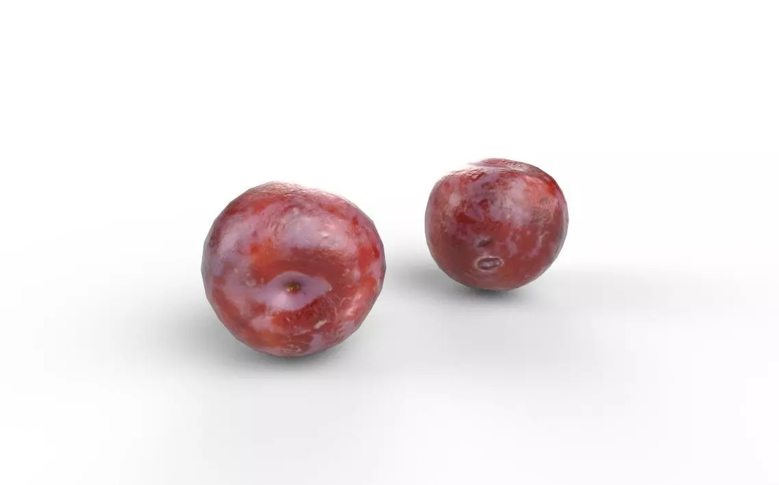 Plum M06 Low-poly 3D model_4