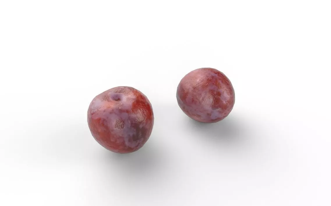 Plum M06 Low-poly 3D model_0