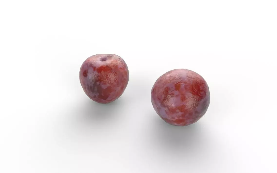 Plum M06 Low-poly 3D model_3