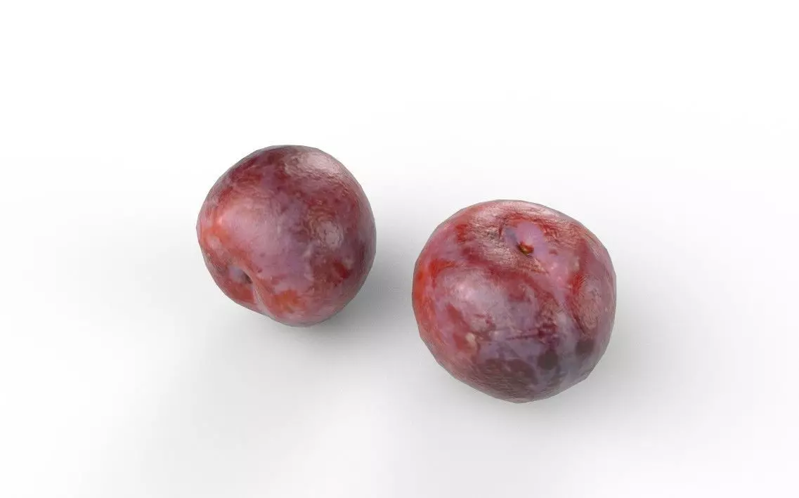 Plum M08 Low-poly 3D model_5
