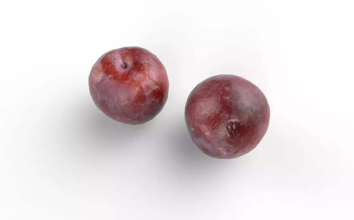 Plum M08 Low-poly 3D model_3