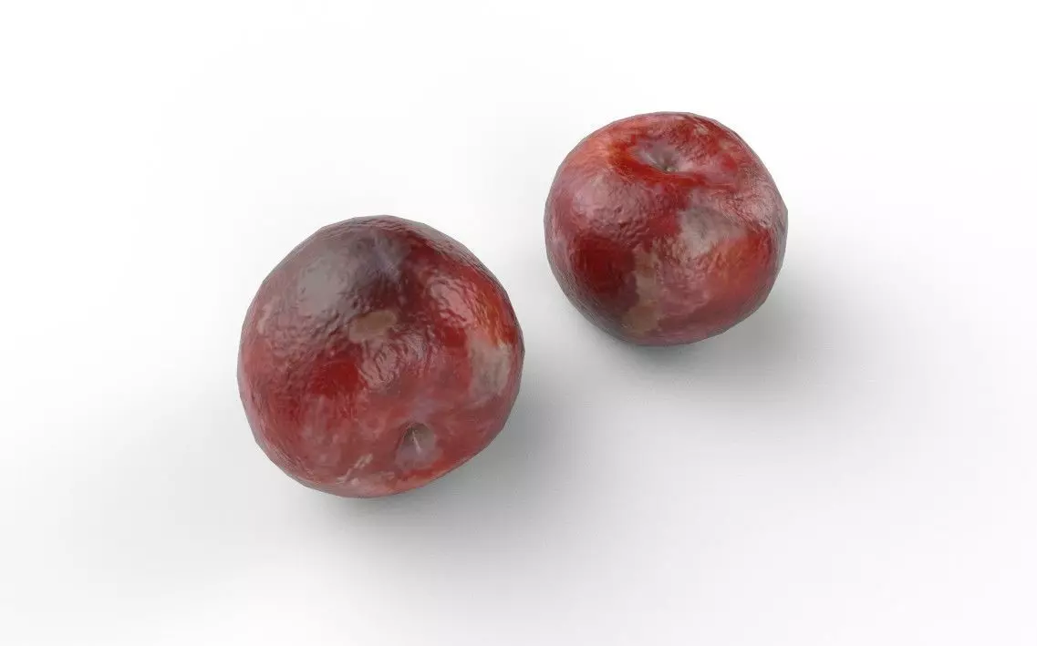 Plum M10 Low-poly 3D model_4