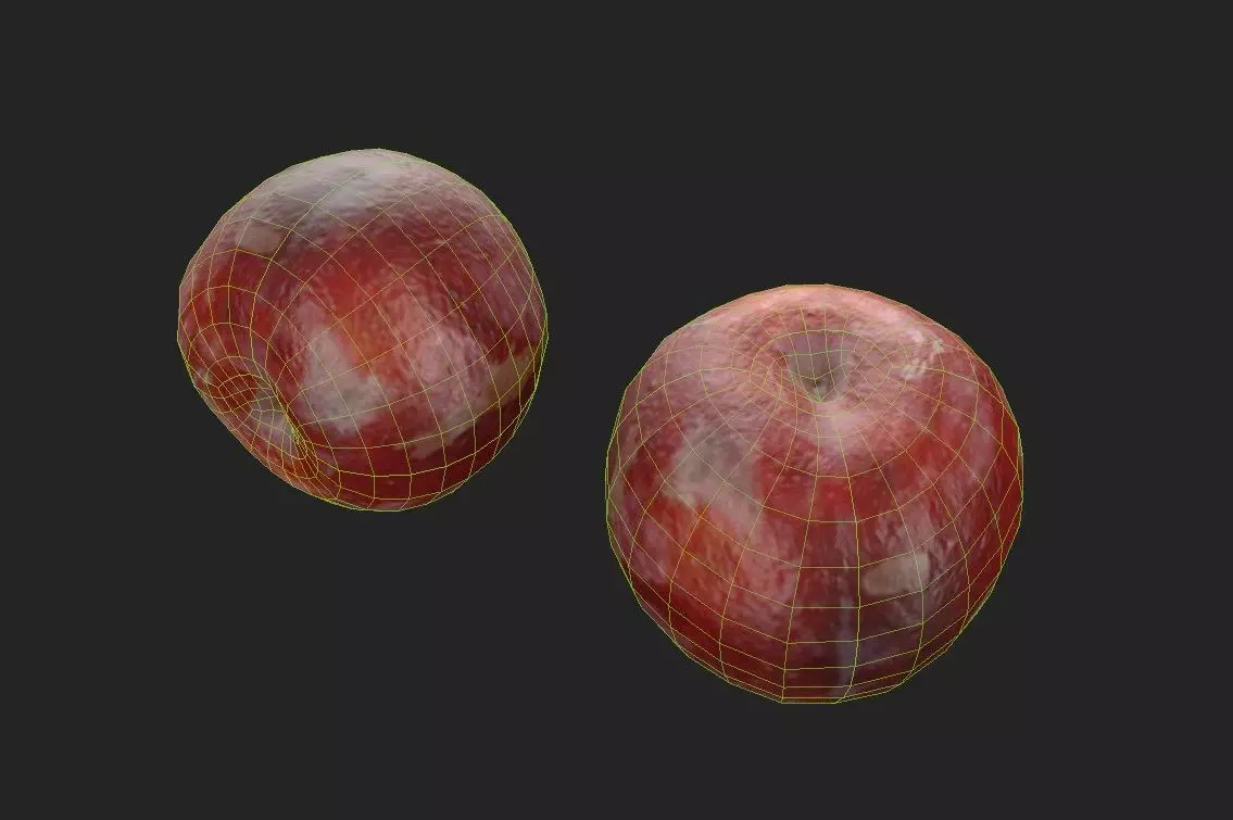 Plum M10 Low-poly 3D model_6