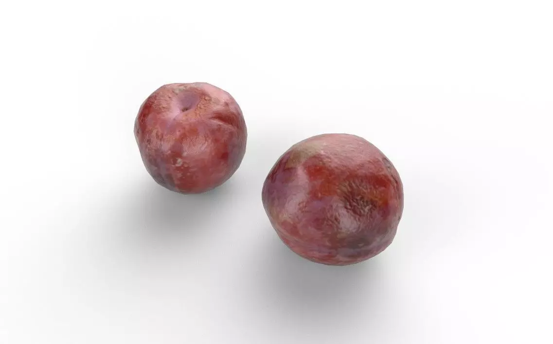 Plum M11 Low-poly 3D model_3