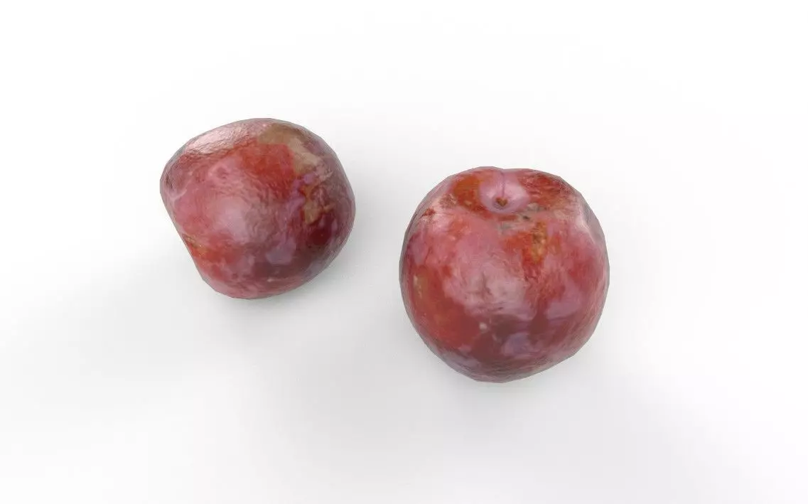 Plum M11 Low-poly 3D model_5