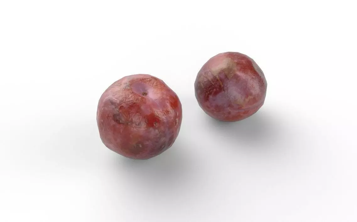 Plum M11 Low-poly 3D model_0