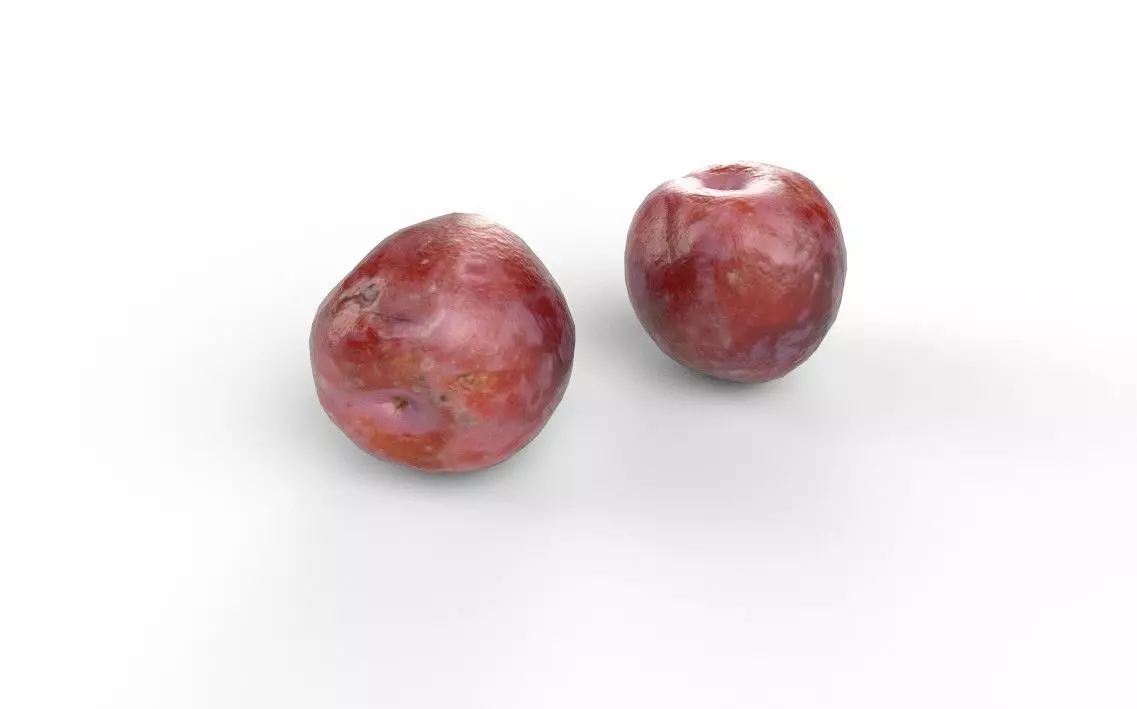 Plum M11 Low-poly 3D model_4