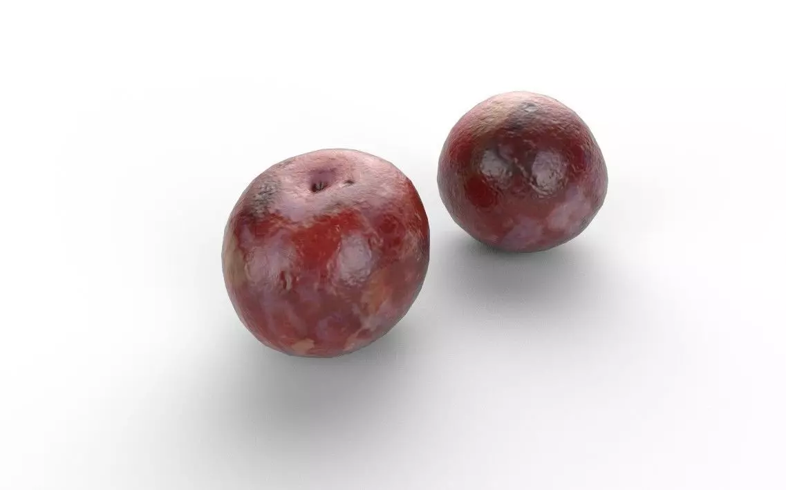 Plum M12 Low-poly 3D model_0