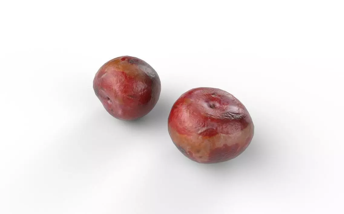 Plum M12 Low-poly 3D model_5