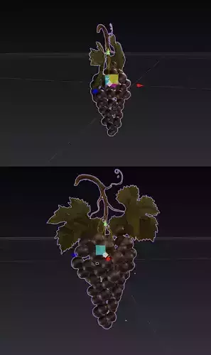 Bunch of grapes with vine leaves