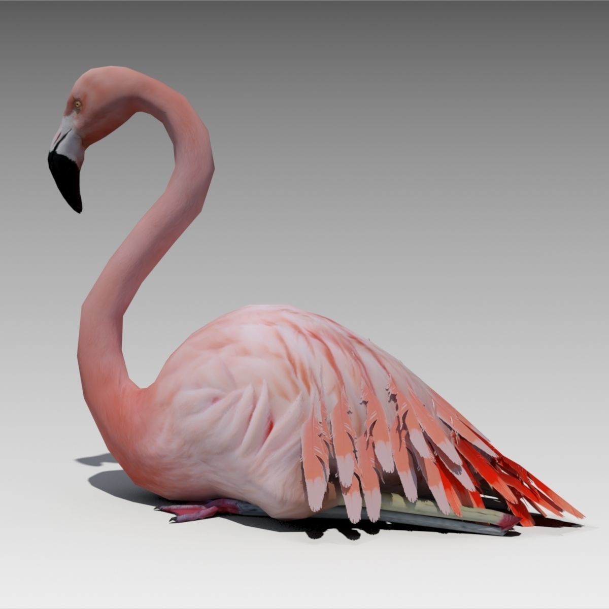 Flamingo Animated Low-poly 3D model_5