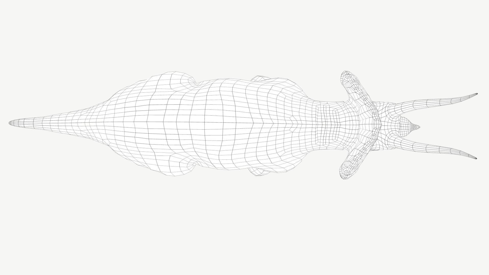 Triceratops dinosaur Low-poly 3D model_8