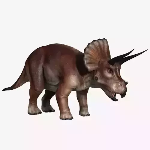 Triceratops dinosaur Low-poly 3D model