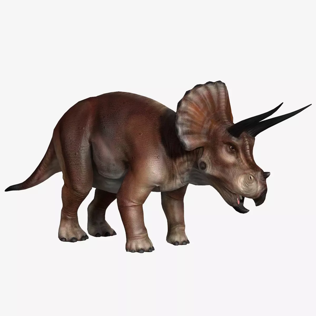 Triceratops dinosaur Low-poly 3D model_0
