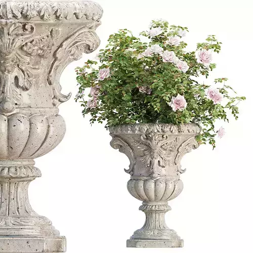 Classic Ornamental Planter with Roses Vol 335