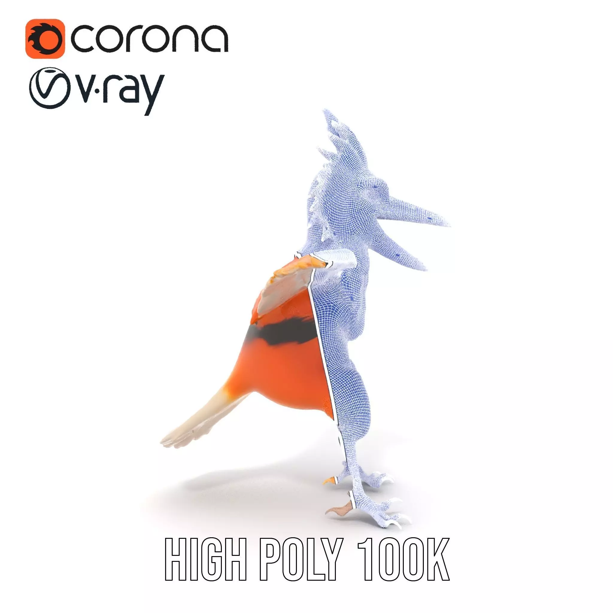 Vibrant Feathered Creature model pack Low-poly 3D model_33
