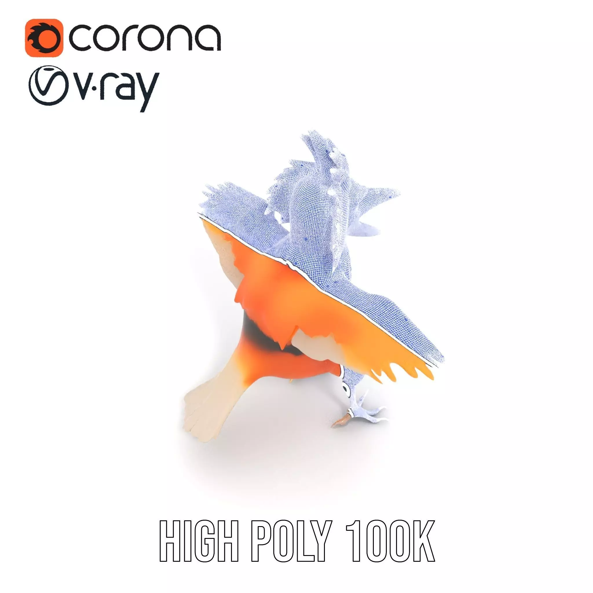 Vibrant Feathered Creature model pack Low-poly 3D model_34