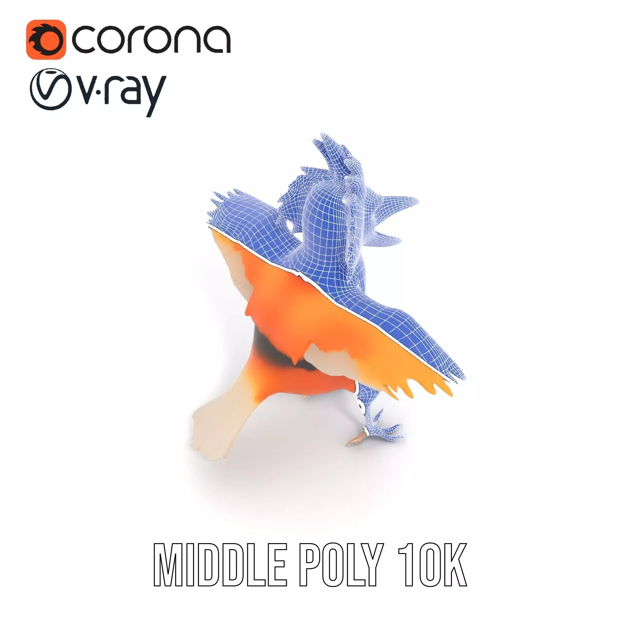 Vibrant Feathered Creature model pack Low-poly 3D model_18