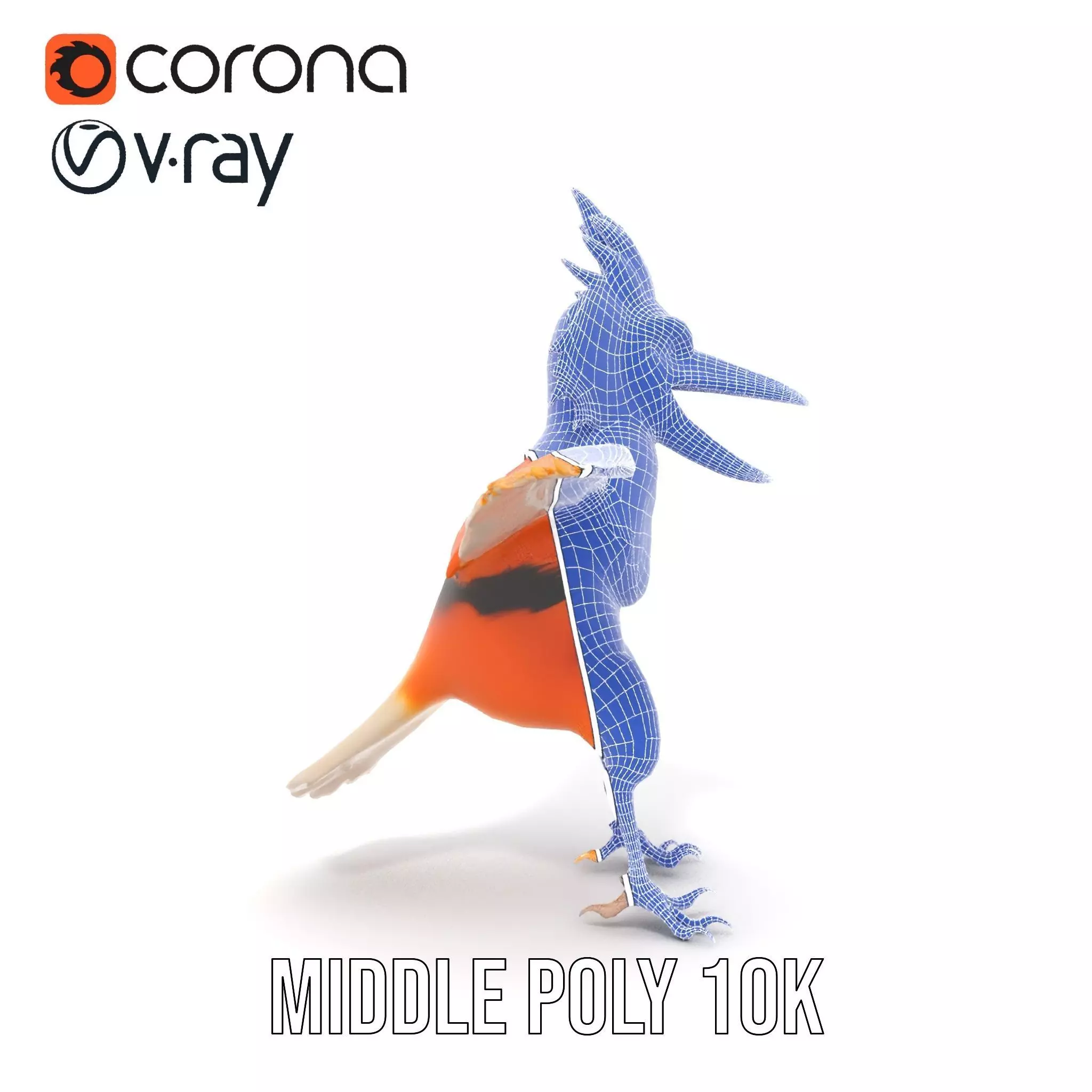 Vibrant Feathered Creature model pack Low-poly 3D model_29