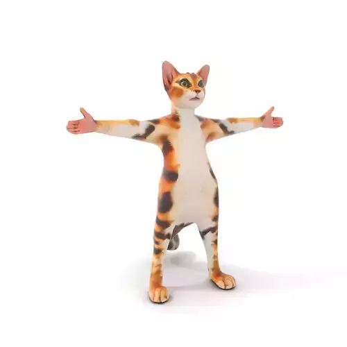Playful Calico Cat model pack Low-poly 3D model
