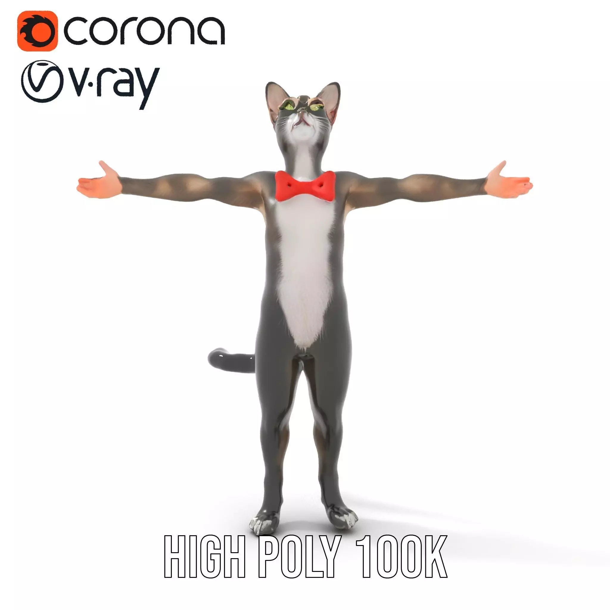 Elegant Cat Character model pack Low-poly 3D model_33