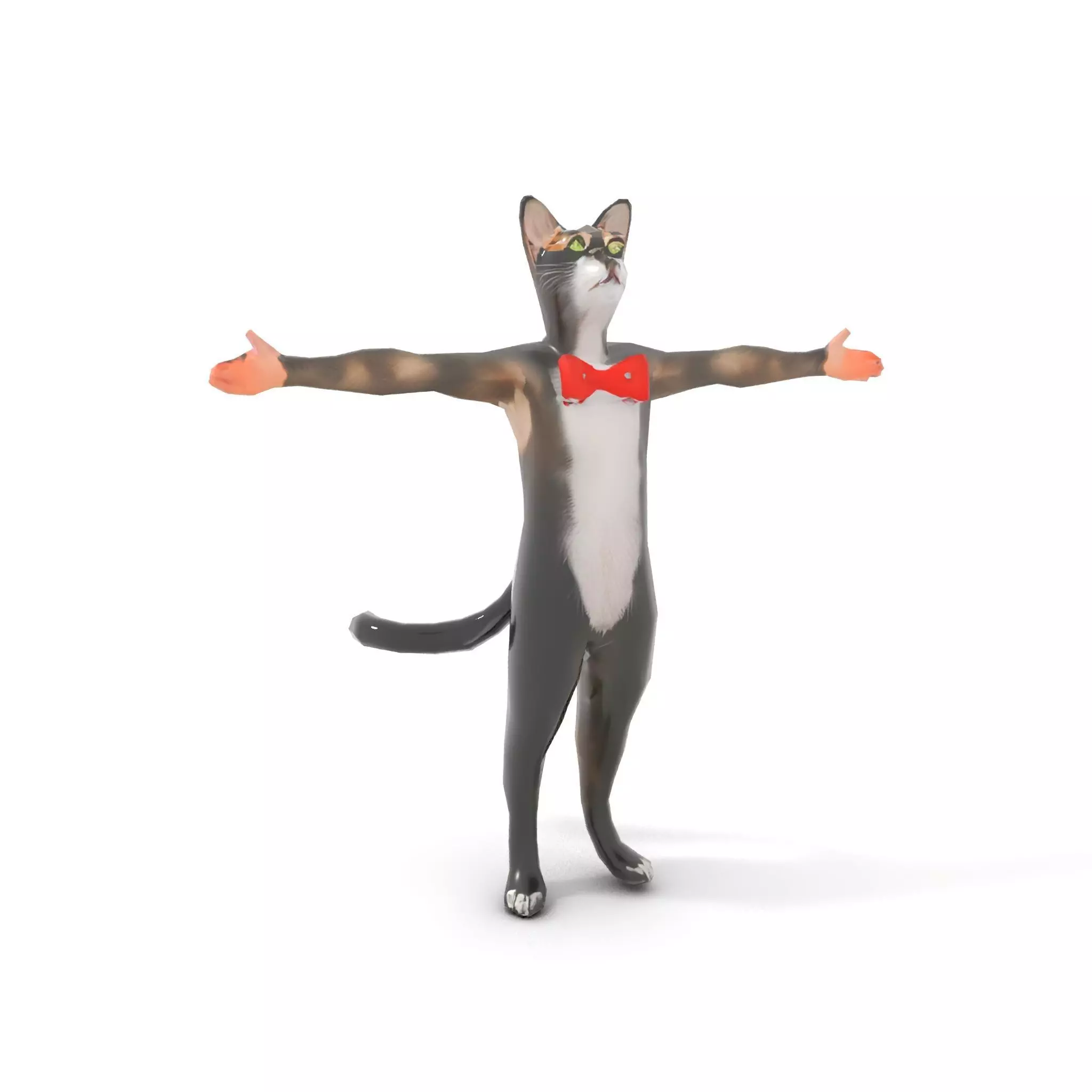 Elegant Cat Character model pack Low-poly 3D model_19