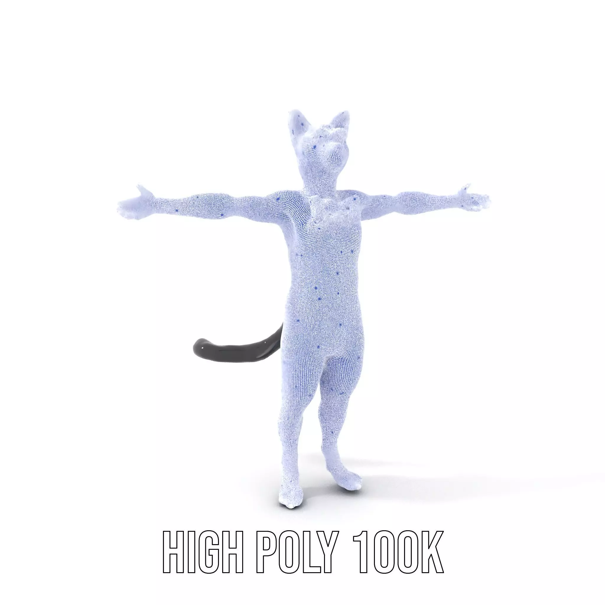 Elegant Cat Character model pack Low-poly 3D model_4