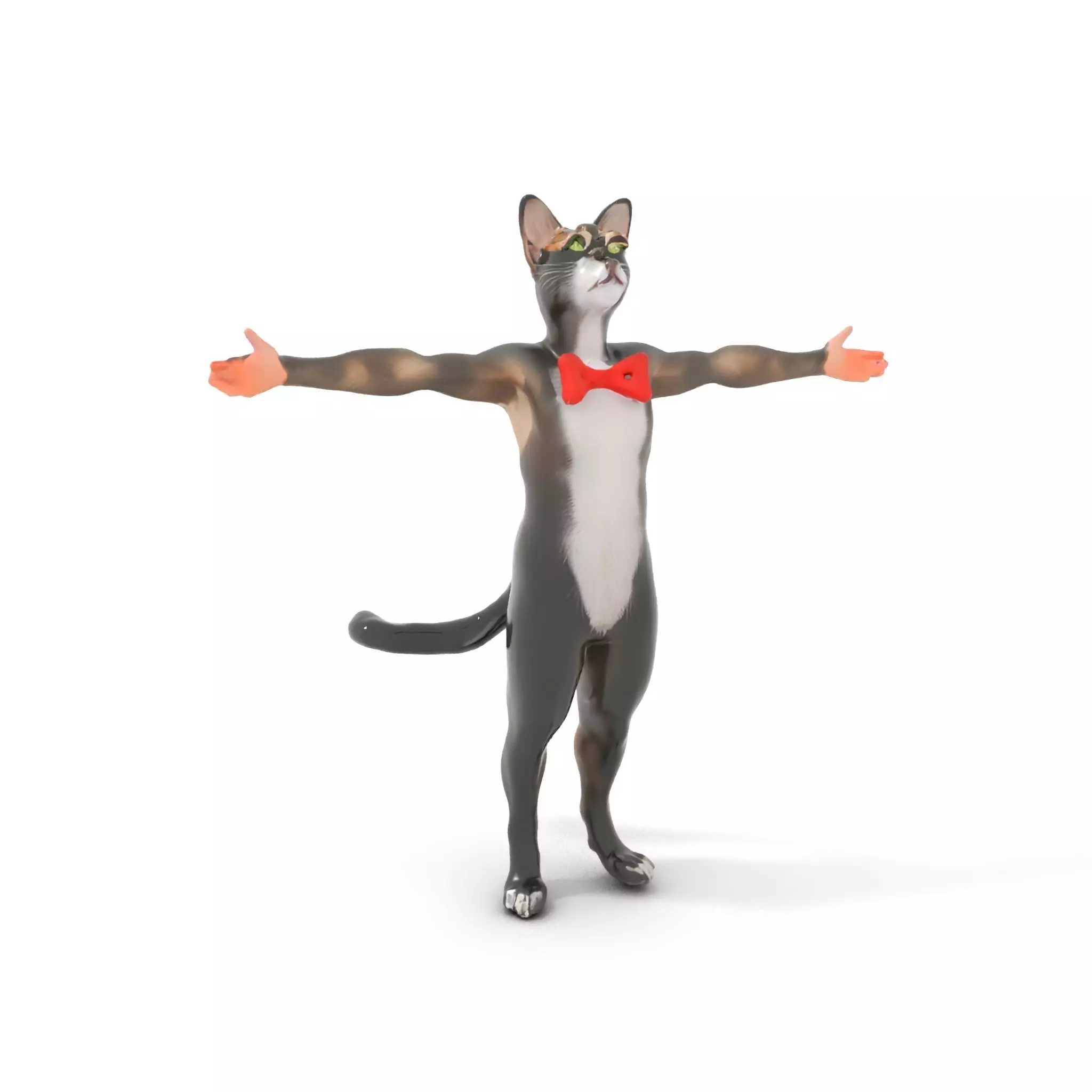 Elegant Cat Character model pack Low-poly 3D model_0