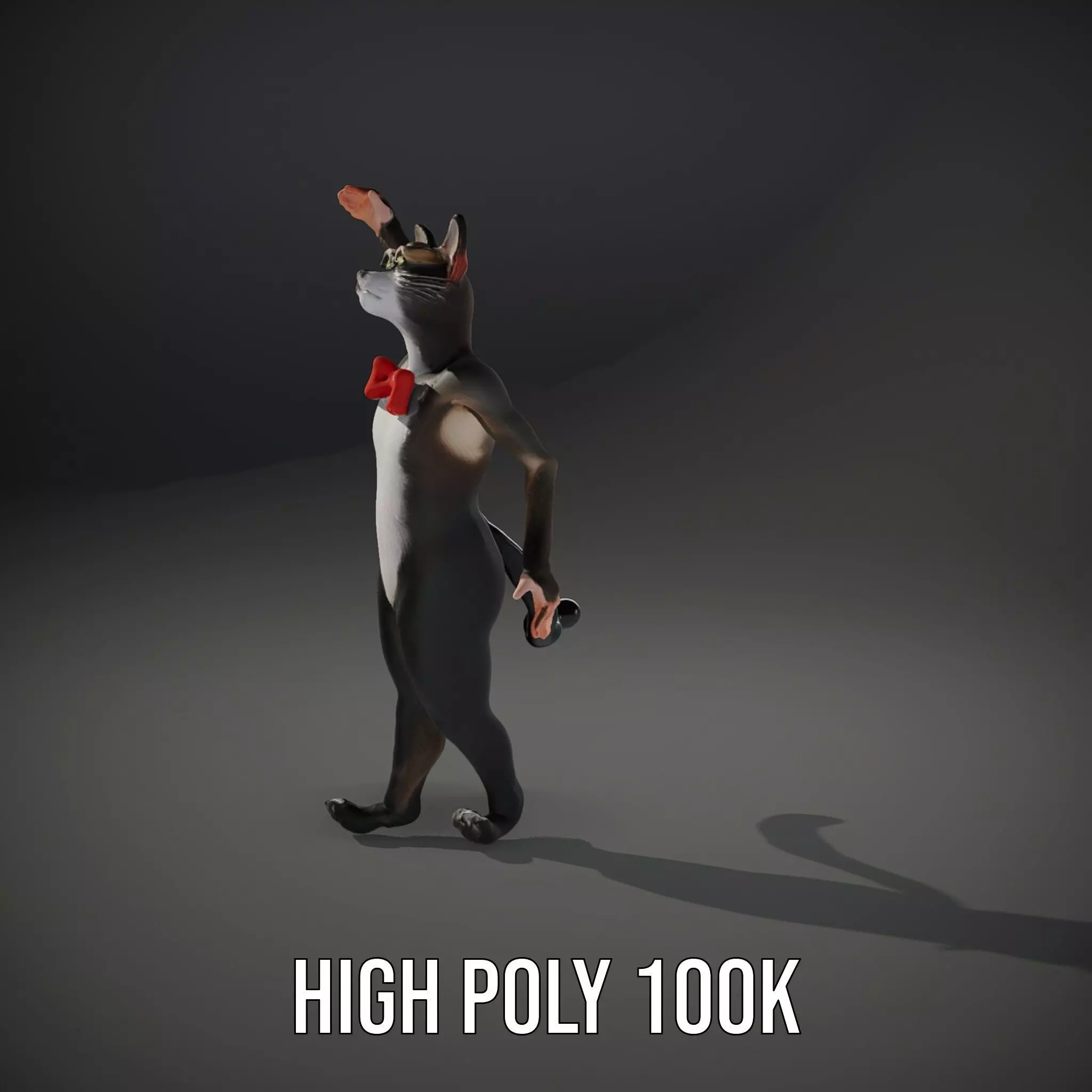 Elegant Cat Character model pack Low-poly 3D model_10