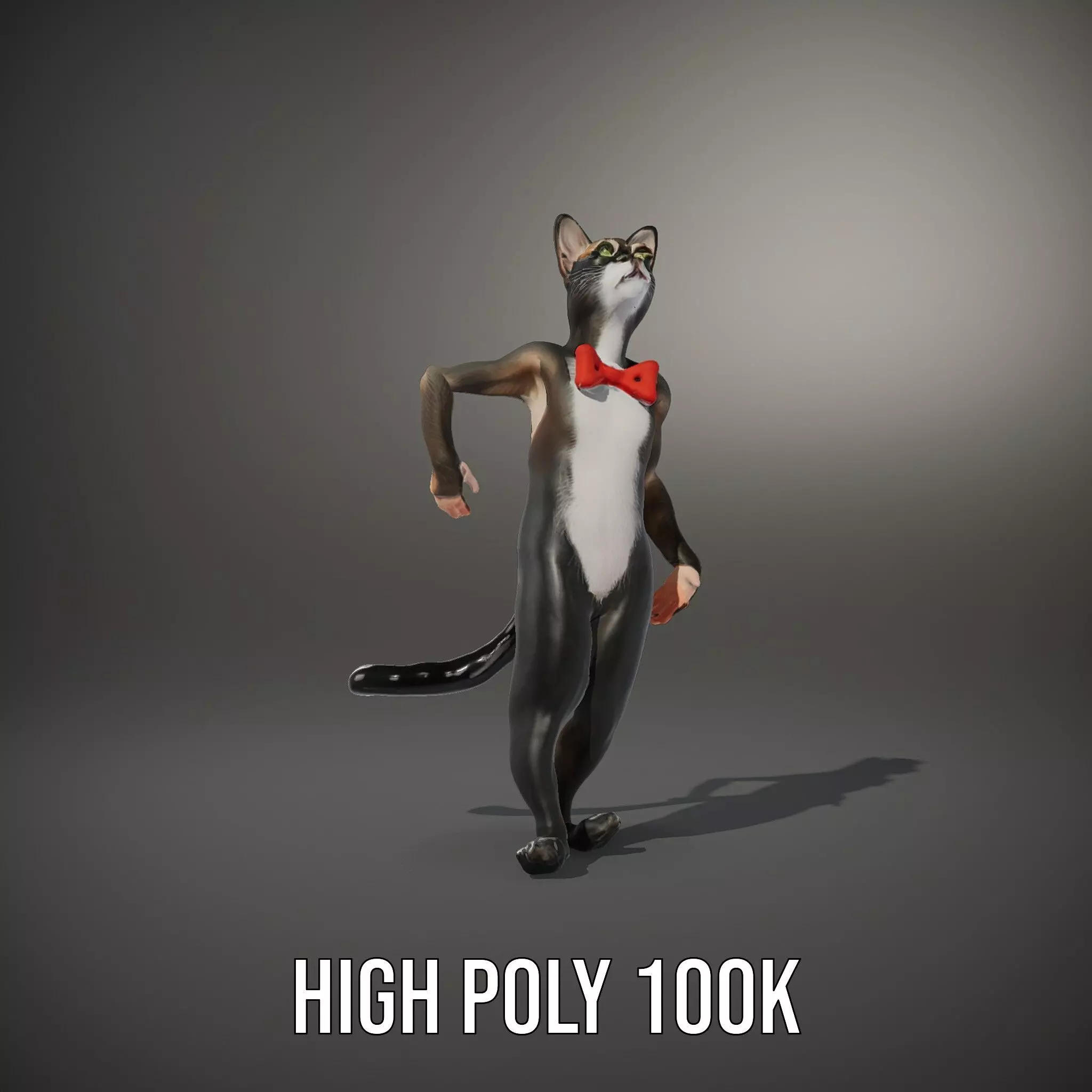 Elegant Cat Character model pack Low-poly 3D model_8
