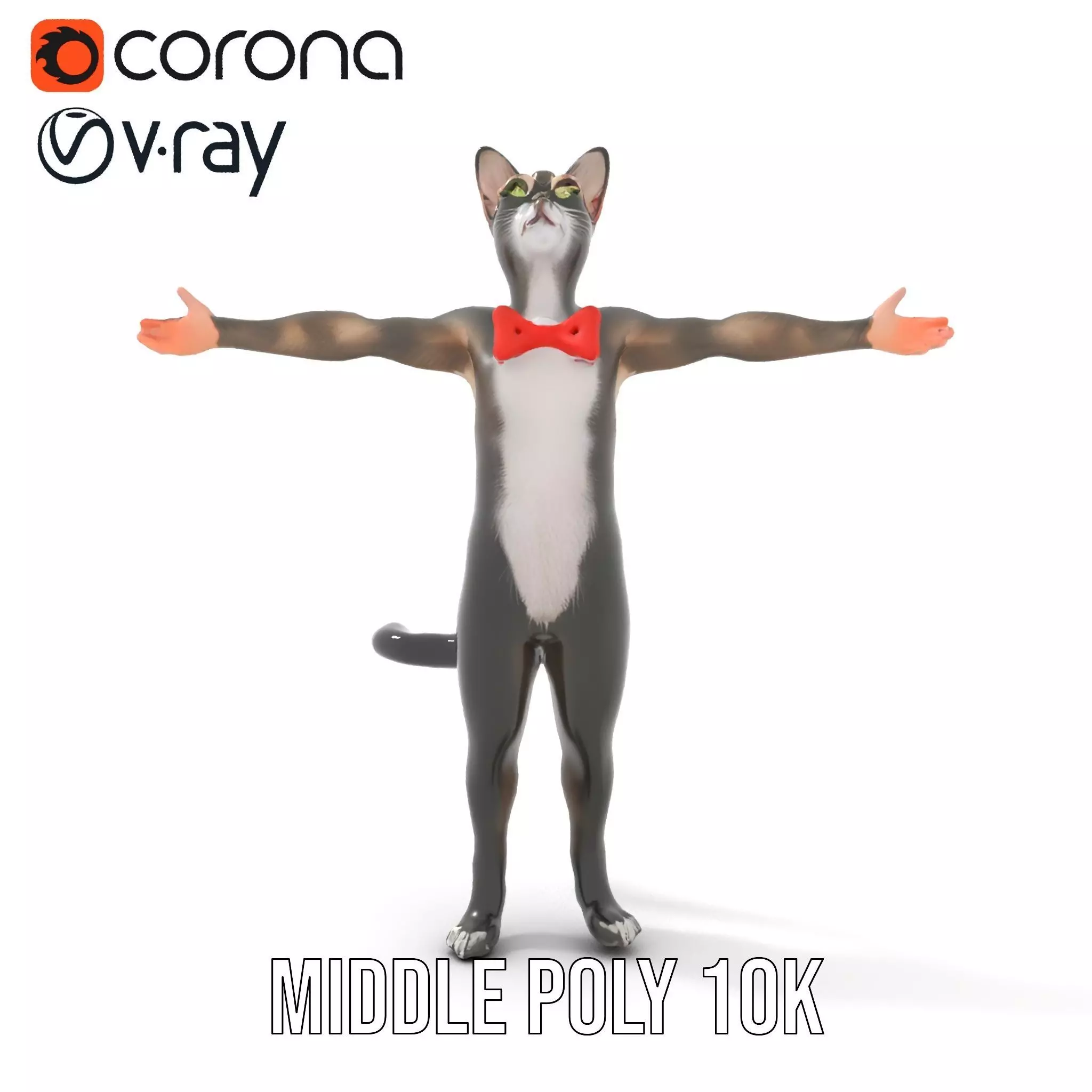 Elegant Cat Character model pack Low-poly 3D model_23