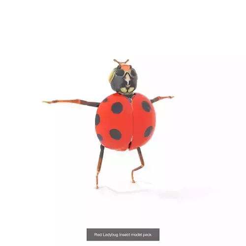 Whimsical Creatures Pack 3D Model Collection