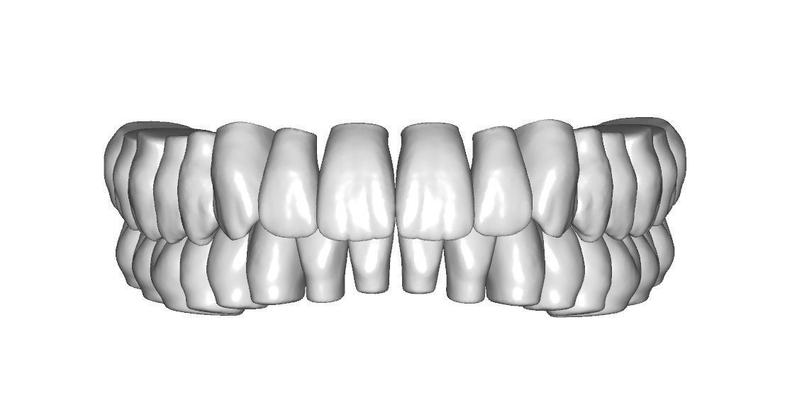 Lower jaw teeth anatomy  3D model_5
