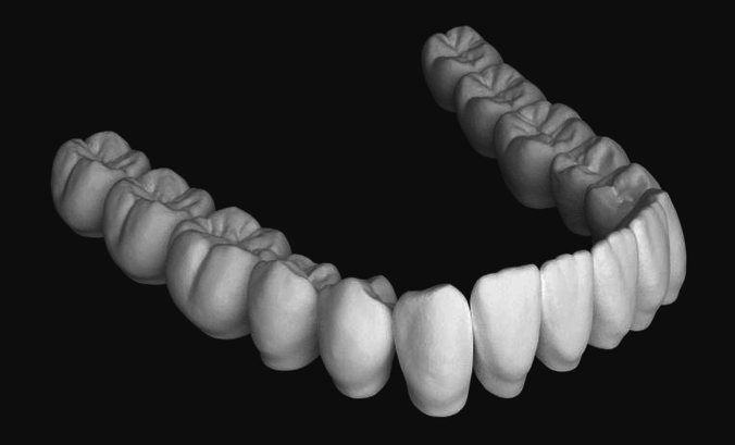 Lower jaw teeth anatomy  3D model