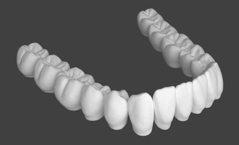 Lower jaw teeth anatomy  3D model_0