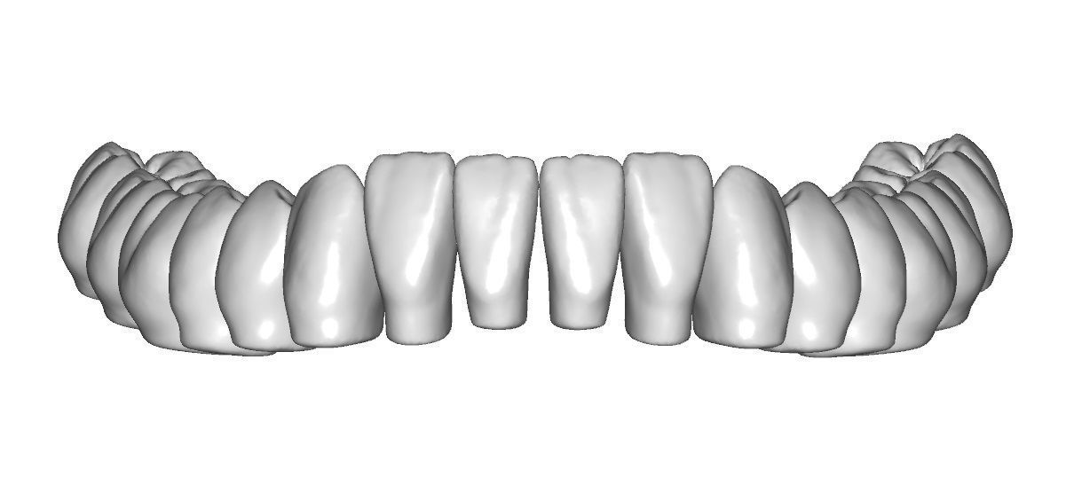 Lower jaw teeth anatomy  3D model_3