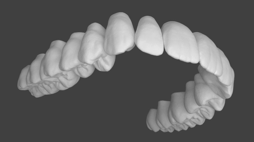 Upper jaw teeth anatomy 3D model