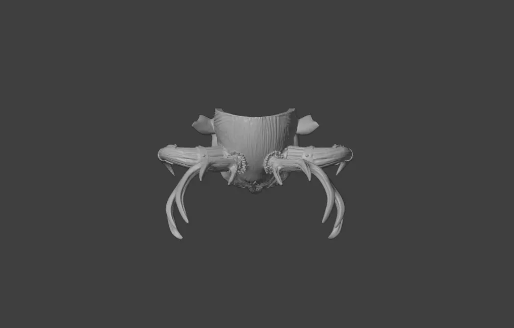 Infernal Antlered Demon Low-poly 3D model_20
