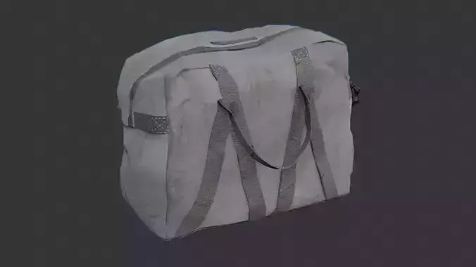 Accessory Large Carry Bag Travel and Storage