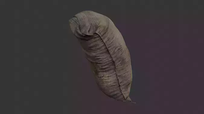 Canvas Bag Rustic Prop for Scenes