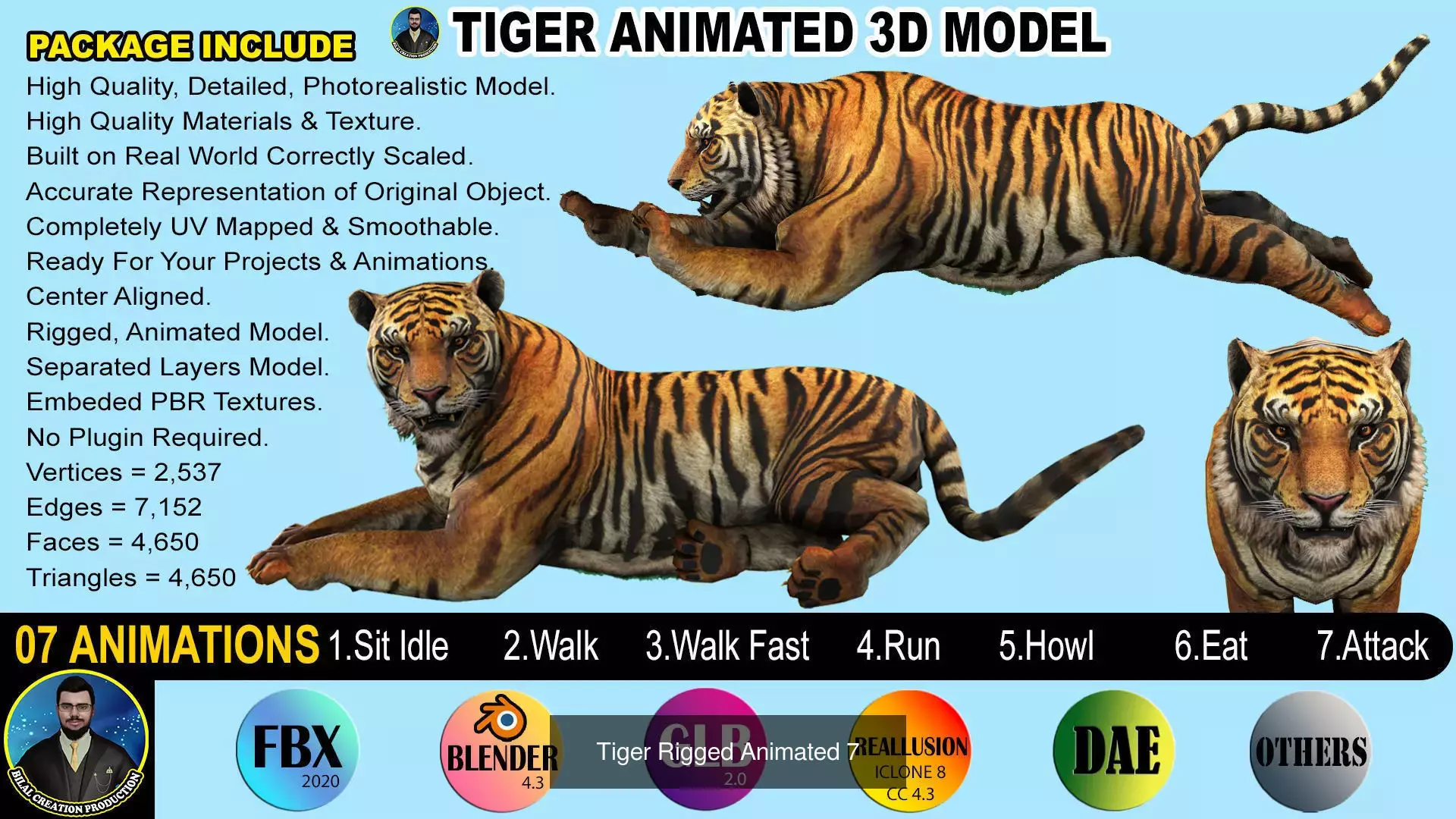 PACK OF FIVE ANIMALS 3D Model Collection_6