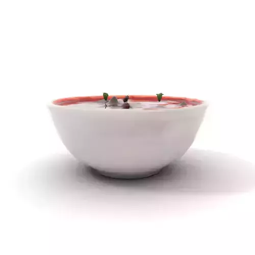 Gourmet Beet Soup model pack Low-poly 3D model 7