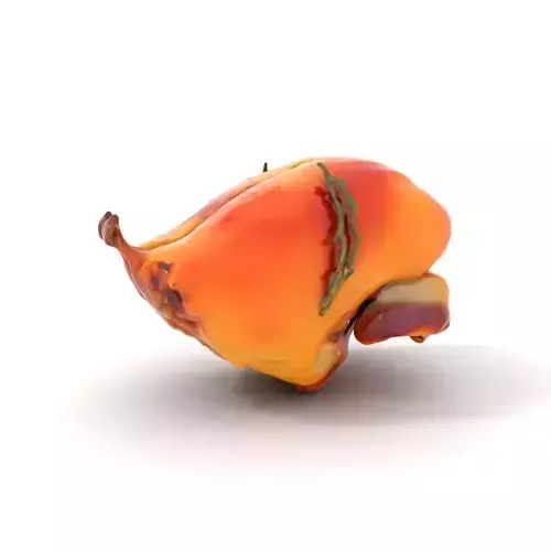 Golden Roast Chicken model pack Low-poly 3D model