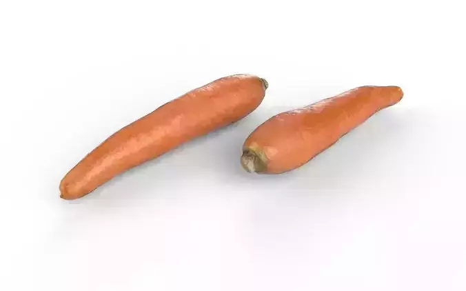 Carrot  M03