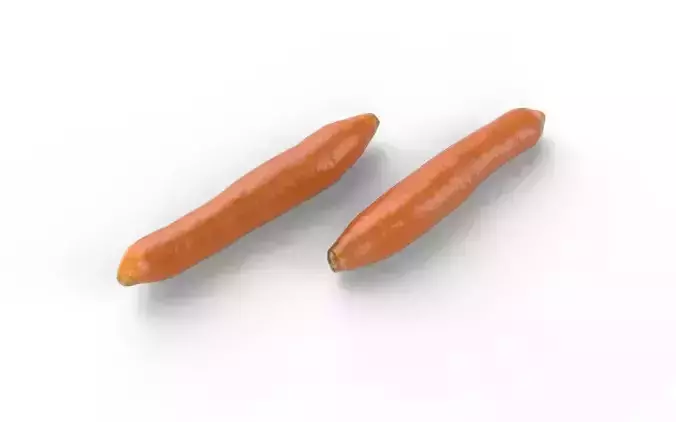 Carrot  M04