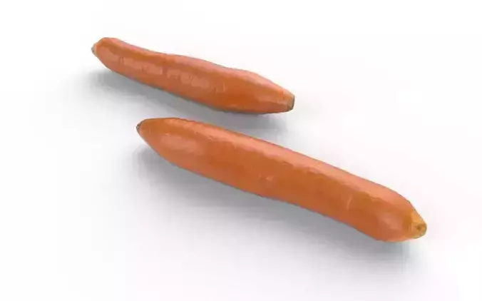Carrot  M04 Low-poly 3D model 4