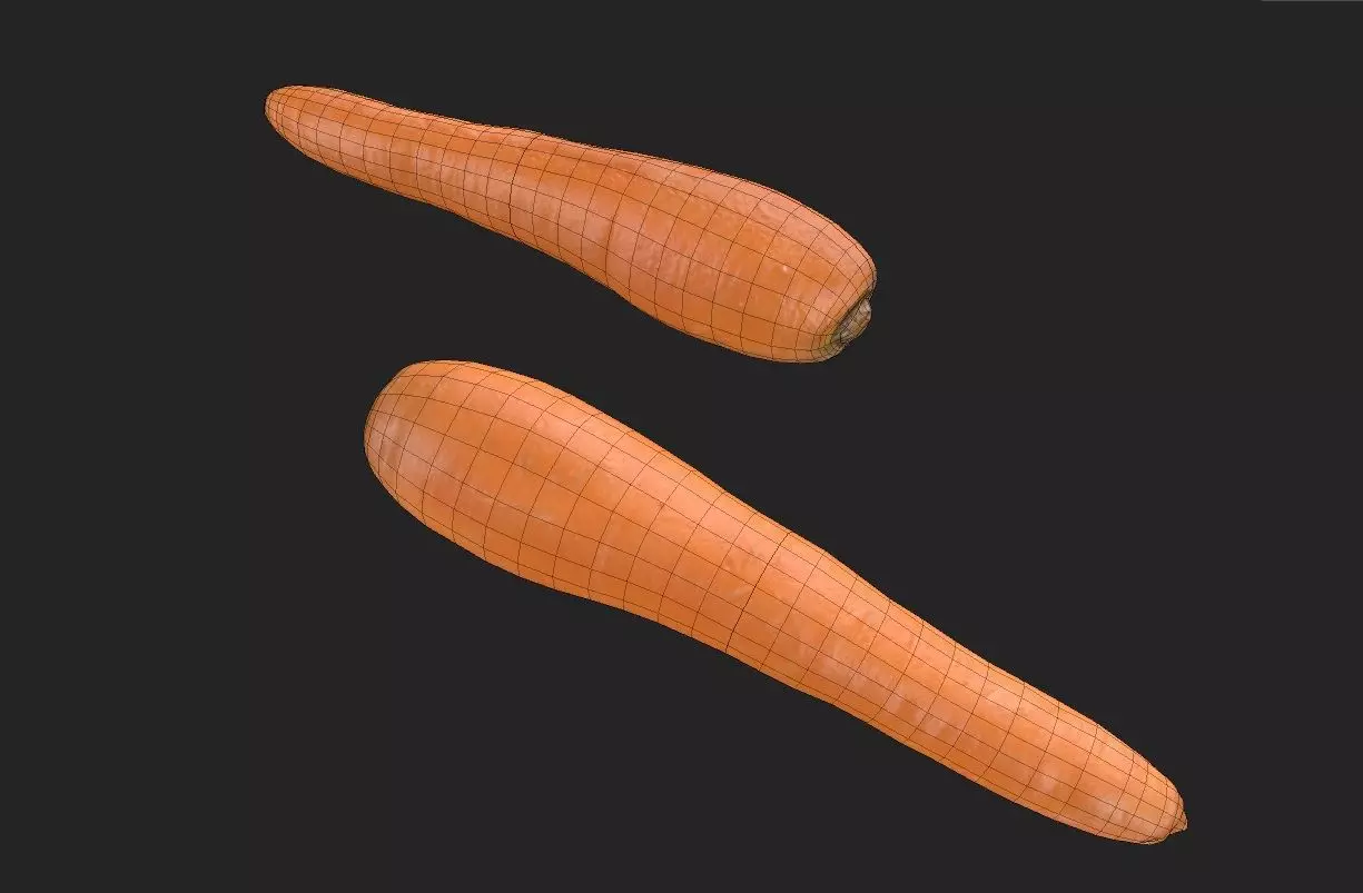 Carrot M05 Low-poly 3D model_6