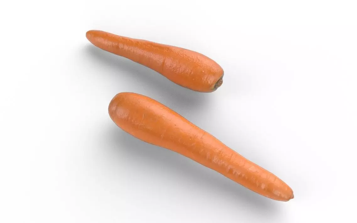 Carrot M05 Low-poly 3D model_5