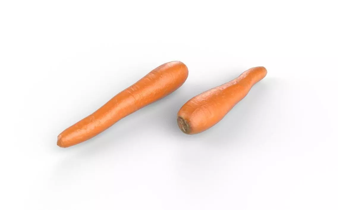 Carrot M05 Low-poly 3D model_0